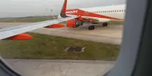“Un tonfo secco e fortissimo, abbiamo visto pezzi di aereo volare via, l’ala era stata tranciata di netto. Il pilota era sbalordito”. Scontro in pista tra due voli EasyJet