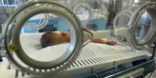 Prima terapia genica iniettata nel cervello contro una rara forma di epilessia: il paziente &egrave; un bimbo di 8 mesi