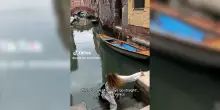 “Quando segui Google Maps ma sei a Venezia. Attenti”: l’incidente di una turista diventa virale – Video