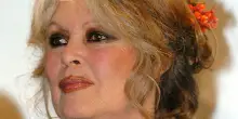 “Sto bene, rispettate la mia privacy”: Brigitte Bardot è stata dimessa dall’ospedale dopo l’operazione