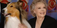 È morta June Lockhart: era Ruth Martin, la mamma di Timmy nella serie cult “Lassie”
