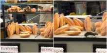 &ldquo;C&rsquo;&egrave; un topo nella vetrina del panettiere, sembra Remy di Ratatouille&rdquo;: ratto scorrazza tra i panini, il video choc &egrave; virale