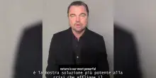 “La natura è la soluzione più potente alla crisi climatica”: l’appello di Di Caprio ai leader della Cop30