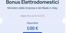 Bonus elettrodomestici, boom di richieste: app e sito in affanno