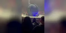 Il video dello scontro al circo nel Napoletano: i motociclisti correvano all’interno di una “palla”