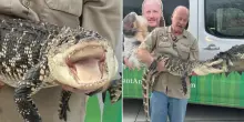 “Era in condizioni orribili, non so come sia vivo”: Mamma trova un alligatore nella stanza di suo figlio