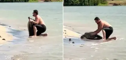 Uomo molesta una tartaruga alle Hawaii per farsi una foto, scoppia la polemica sul Web: “Disgustoso e inquietante”