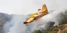 &ldquo;Hanno usato i gatti per gli inneschi, una cosa disumana&rdquo;. Incendi in Calabria, il racconto del dirigente della Protezione civile