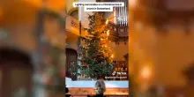 L&rsquo;abete sembra prendere fuoco, poi la magia: la surreale accensione delle candele sull&rsquo;albero di Natale &ndash; Video