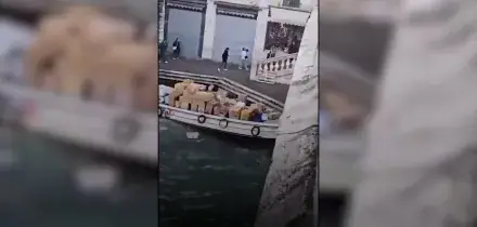 Ruba una barca piena di pacchi e si schianta contro il ponte di Rialto: incidente da film a Venezia