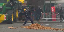 Protesta trattori a Bruxelles, lancio di patate contro la polizia: il video degli scontri davanti alle sedi Ue