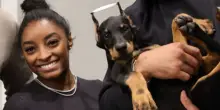 &ldquo;La conchectomia &egrave; una mutilazione inutile ed estremamente dolorosa per il cane&rdquo;: la ginnasta Simone Biles acquista un dobermann con le orecchie tagliate e scoppia la polemica