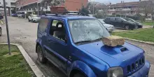 Vandalizzata l&rsquo;auto dell&rsquo;attivista WWF Maurizio Marrese a Foggia. Seconda intimidazione in 15 giorni