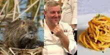 &ldquo;Faccio il sugo di nutria, ha una carne tenera e gustosa ottima per i bigoli al rag&ugrave;. &Egrave; tenera e gustosa come il coniglio, piace sempre&rdquo;: parla lo chef Daniele Pivatello