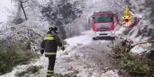 Nevica sull&rsquo;Appennino umbro-marchigiano, i vigili del fuoco intervengono per liberare la strada dagli alberi caduti