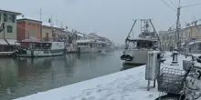 La neve imbianca anche le strade della Romagna: le immagini del porto di Cesenatico