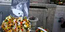 La battaglia per l&rsquo;eredit&agrave; di Brigitte Bardot: il figlio e il marito contro il testamento, reclamano una quota del patrimonio da 69,5 milioni lasciato tutto agli animali