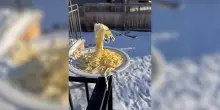 La pasta resta sospesa, l&rsquo;esperimento della meteorologa: ecco cosa succede a -30&deg; &ndash; Video