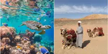 L&rsquo;estate nel cuore dell&rsquo;inverno: fuga a Marsa Alam, dove il deserto si tuffa nel blu della barriera corallina