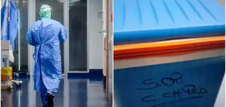 Cuore &ldquo;bruciato&rdquo;, il medico legale della famiglia: &ldquo;Nessuna lesione al cuore nella fase dell&rsquo;espianto&rdquo; a Bolzano