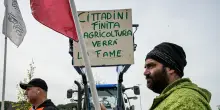 Dietro le proteste degli agricoltori c&rsquo;&egrave; un disagio reale. Ma &egrave; tutta la filiera che va ripensata