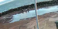 Madre e figlia affondano nella sabbia della laguna: salve per un soffio. La giornata al mare trasformata in incubo &ndash; Video
