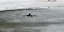 &ldquo;Il ghiaccio ha ceduto sotto i nostri piedi&rdquo;: paura al lago per i turisti che finiscono nell&rsquo;acqua gelida &ndash; IL VIDEO