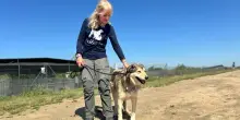 Canili, la volontaria Silvia Dennetta: &ldquo;Un impegno totalizzante, ma di cui non riesco pi&ugrave; a fare a meno&rdquo;
