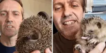 Milo, il riccio mutilato dalla falciatrice: senza una zampa e con il palato distrutto, ora la sua storia diventa simbolo (e arriva una serata evento)