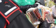 Trieste, butta per sbaglio 7mila euro in contanti tra i rifiuti: i carabinieri li ritrovano e glieli restituiscono