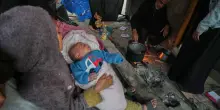 Gaza afflitta anche dai topi: entrano nelle tende e mordono i bambini. Aumentano malattie, malformazioni e neonati morti