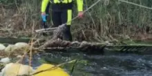 Si ribalta con il kayak nel fiume: morto un 71enne a Paesyum. Era in vacanza con la moglie