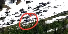 Valanga sul Gran Sasso distrugge un rifugio: &ldquo;Poteva essere una Rigopiano-bis&rdquo;. Escursionista portato a valle: &egrave; illeso