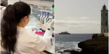Hantavirus, l&rsquo;epidemiologo: &ldquo;Insolito su una nave da crociera&rdquo;. L&rsquo;infettivologo: &ldquo;Nessun allarme ma sorveglianza rigorosa&rdquo;