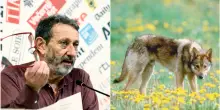 Michele Serra e i lupi, perch&eacute; &egrave; lui il responsabile della morte del suo cane (e solo il senso del limite ci salver&agrave;)