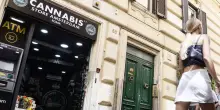 Cannabis light, il decreto sicurezza contro le aziende della canapa fa acqua tra archiviazioni e restituzioni: &ldquo;E i sequestri sono fermi da mesi&rdquo;