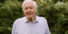 David Attenborough compie 100 anni: Londra celebra l&rsquo;uomo che ci ha insegnato a guardare la Terra