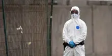 Hantavirus, acqua sugli escrementi di topo e protezioni per pulire: i consigli per evitare il contagio e i sintomi a cui fare attenzione