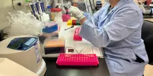 In Italia la burocrazia rallenta la ricerca: cos&igrave; i nostri concorrenti ci mangeranno vivi