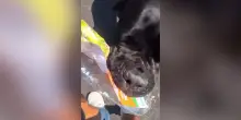 Giovane aizza il cane contro un volantino dei candidati Pd: &ldquo;Meritate di finire sbranati vivi&rdquo;. Polemica a Venezia