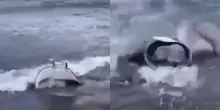 Manta si avvicina pericolosamente alla riva a Procida: decisivo il salvataggio in extremis &ndash; IL VIDEO