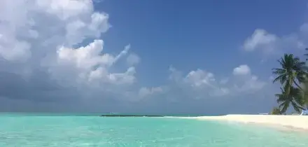 Subacquei italiani morti alle Maldive: al via le operazioni di recupero delle salme