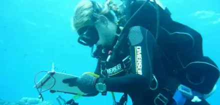 Dalla &ldquo;tossicit&agrave; da ossigeno&rdquo; al panico in grotta: tutte le ipotesi sulla morte dei 5 sub italiani alle Maldive