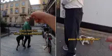 &ldquo;Il primo giorno in cui ho fatto le foto a un gatto mi ha subito morso, con i cani non &egrave; mai successo. Non tutti i tuoi cani sono i tuoi cani, ecco perch&eacute;&rdquo;: la storia di Doggodaiily