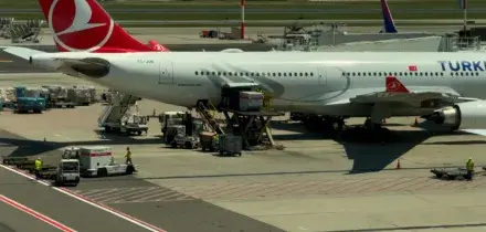 Sub morti alle Maldive, atterrato a Malpensa l&rsquo;aereo con le salme degli italiani &ndash; Le immagini