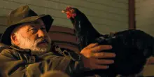 Hen &ndash; Storia di una gallina, il film di Gy&ouml;rgy P&aacute;lfi che cambier&agrave; il modo di guardare (e mangiare) le uova