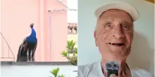 &ldquo;Hanno rischiato di portarmi via l&rsquo;occhio&rdquo;: anziano aggredito in cucina dai pavoni di Punta Marina. Il caso divide gli abitanti
