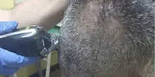 &ldquo;Tagliamo i capelli a chi non pu&ograve; permetterselo, specie d&rsquo;estate&rdquo;: ecco l&rsquo;iniziativa benefica dei volontari dell&rsquo;Ambulatorio popolare &ndash; VIDEO