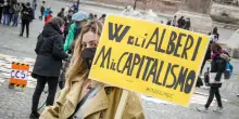 Roma taglia 30mila alberi, il Campidoglio: &ldquo;Ne abbiamo piantati il doppio&rdquo;. Gli esperti: &ldquo;Non basta mettere piante giovani&rdquo;