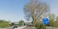 Ho un&rsquo;utopia: che spostino la strada attorno al platano di Napoleone ad Alessandria